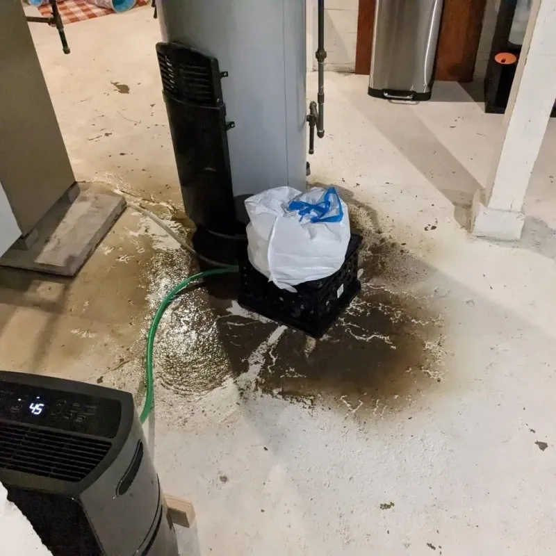 Sewage Backup Cleanup Service in Florence, AL